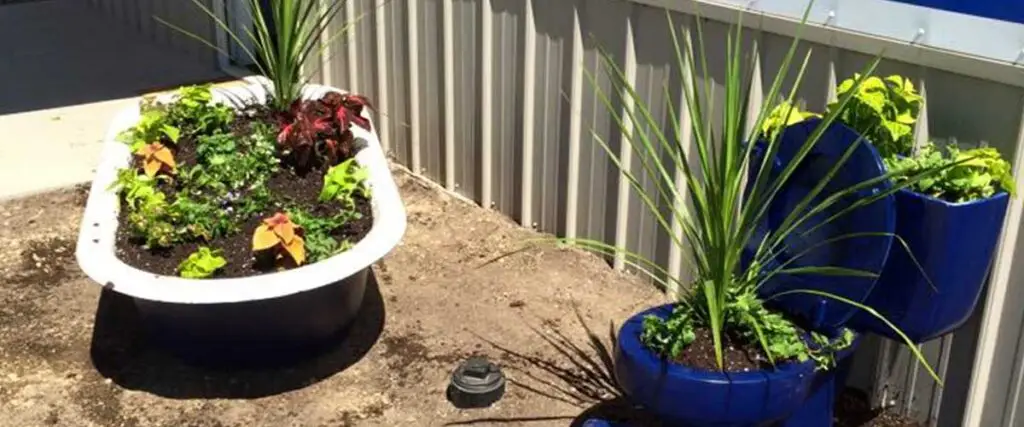 An outdoor scene with a variety of colorful potted plants and a blue planter on the ground.